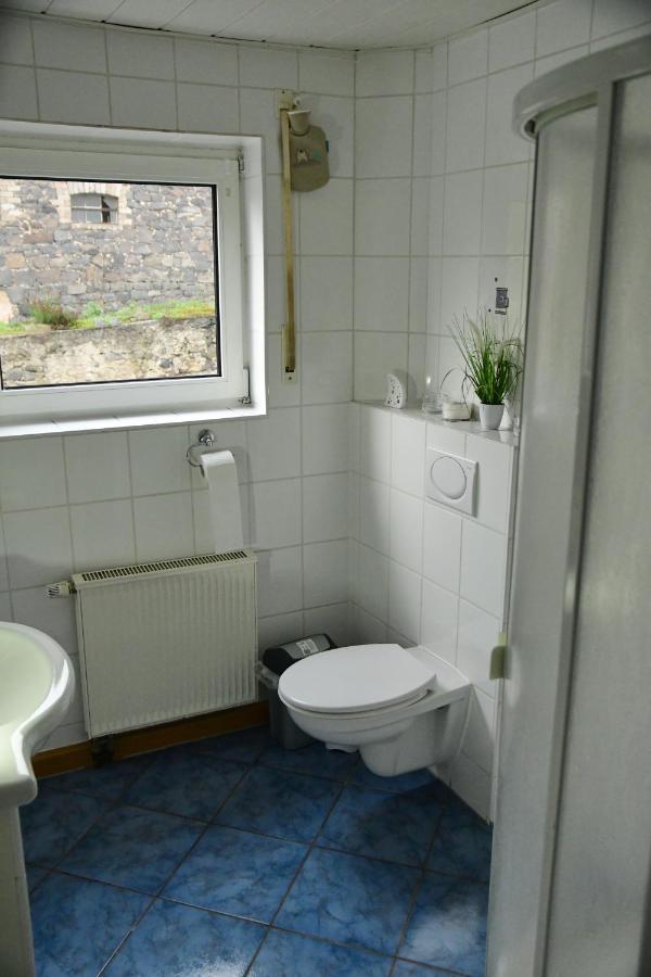 Ferienwohnung Auf Dem Pferdehof Schotten Εξωτερικό φωτογραφία