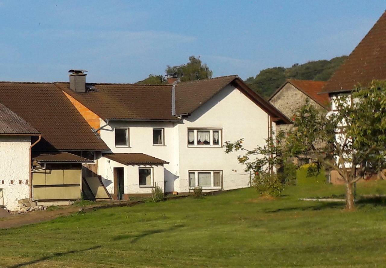 Ferienwohnung Auf Dem Pferdehof Schotten Εξωτερικό φωτογραφία